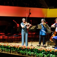 Streichquartett aus dem Gastland Niederlande & Flandern während der Eröffnungsfeier der Leipziger Buchmesse 2024 Streichquartett aus dem Gastland Niederlande & Flandern während der Eröffnungsfeier der Leipziger Buchmesse 2024