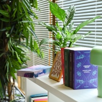 Bücherregal im BL:OOM – BloggerRoom der Leipziger Buchmesse 2025