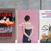 The titles of the award winners (from left to right): Translation, Fiction, Non-Fiction/Essay Writing